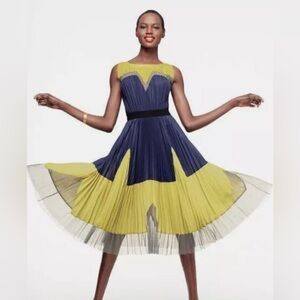 BCBG MaxAzria Lucea color block Elegant Pleated Dress